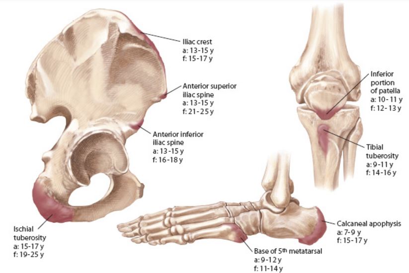 Overuse Injuries in Junior Football Players