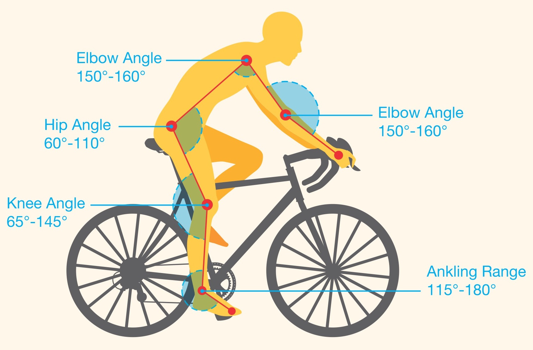 Cycling Knee Chart